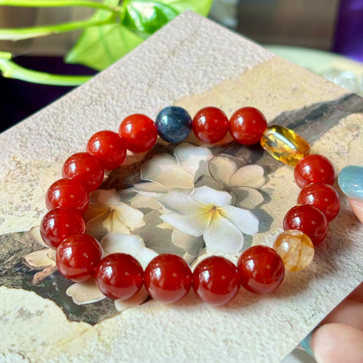 Red Agate Bracelet with Blue Kyanite, Yellow Flower Agate & Amber